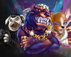 Быстрый вывод Риобет Моментальный вывод Рио Бет